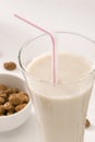 Tiger nut milk. Horchata de chufa. Royalty Free Stock Photo