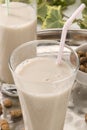 Tiger nut milk. Horchata de chufa. Royalty Free Stock Photo