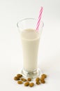 Tiger nut milk. Horchata de chufa. Royalty Free Stock Photo