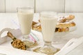 Tiger nut milk and fartons. Horchata de chufa. Royalty Free Stock Photo