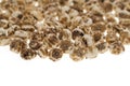 Tiger nuts Royalty Free Stock Photo