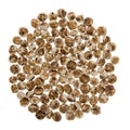 Tiger nuts Royalty Free Stock Photo