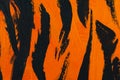 Tiger. Orange black striped acrylic. Fashionable design background