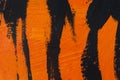 Tiger. Orange black striped acrylic. Fashionable design background