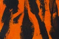 Tiger. Orange black striped acrylic. Fashionable design background