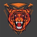 Tiger oranye with geomy concept Royalty Free Stock Photo
