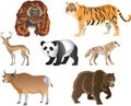 Wild Life Animals Set from Asian Jungle - Vector Illustration