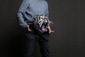 Tiger in Pants Royalty Free Stock Photo