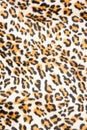 Tiger pattern