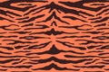Tiger pattern background. Vector wild animal skin texture, black stripes print on orange background. Abstract jungle Royalty Free Stock Photo