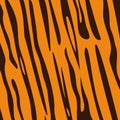 Tiger pattern Royalty Free Stock Photo