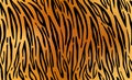 Tiger. Pattern texture repeating seamless.