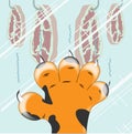 Tiger paw Royalty Free Stock Photo