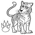 Tiger with paw print Coloring Page vector