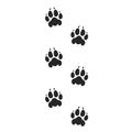 Tiger paw print. Silhouette Royalty Free Stock Photo