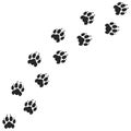 Tiger paw print. Silhouette Royalty Free Stock Photo