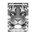 Tiger portrait. Illustration in hand drawn style Royalty Free Stock Photo