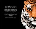 Tiger portrait illustration template. Wild cat head detailed drawing. Majestic predator bengal art with copy space