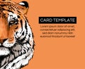 Tiger portrait illustration template. Wild cat head detailed drawing. Majestic predator bengal art with copy space