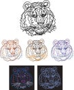 Tiger portrait in linear image, tiger in various versions of the image and angles Royalty Free Stock Photo