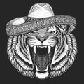 Tiger portrait. Sombrero is traditional mexican hat. Mexico. Wild cat head.