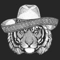 Tiger portrait. Sombrero is traditional mexican hat. Mexico. Wild cat head.