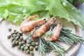 Tiger Prawn Shrimps with green lettuce, capers and rosemary. Royalty Free Stock Photo