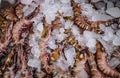 Tiger prawns frozen in ice are sold at Ban Phe Seafood Market, Rayong Royalty Free Stock Photo