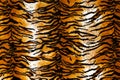 Tiger Print Background Royalty Free Stock Photo