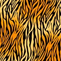 seamless tiger print pattern and background vector illustration Royalty Free Stock Photo