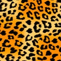 seamless tiger print pattern and background vector illustration