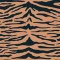 Tiger print background. Vector wild animal skin texture, black stripes pattern on brown background. Abstract jungle Royalty Free Stock Photo