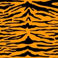 Tiger print background. Vector wild animal skin texture, black stripes pattern on orange background. Abstract jungle Royalty Free Stock Photo