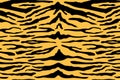 Tiger print background. Vector wild animal skin texture, black stripes pattern on yellow background. Abstract jungle Royalty Free Stock Photo