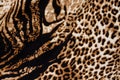 Tiger print Royalty Free Stock Photo