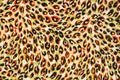 Tiger print fabric Royalty Free Stock Photo