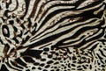 Tiger print fabric Royalty Free Stock Photo