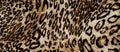 Tiger print fabric Royalty Free Stock Photo