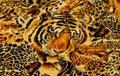 Tiger print fabric Royalty Free Stock Photo