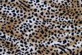 Tiger print fabric Royalty Free Stock Photo