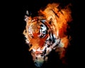 Tiger on the prowl abstract digital painting portrait