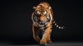 8k Tiger Photography: Japanese Minimalism Meets Bold Character Designs