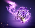 Tiger with purple burning flame