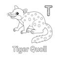 Tiger Quoll Alphabet ABC Coloring Page T