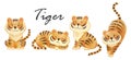 Tiger . Realistic watercolor paint of wildlife animals with paper textured . Cartoon character design . Vector