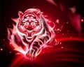 Tiger with red burning flame Royalty Free Stock Photo