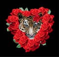 Tiger with red roses on black background Royalty Free Stock Photo