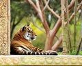 Tiger Resting In A Garden