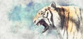 Tiger roar watercolor sketch painting