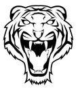 Tiger Roaring Black And White Vector Illustration Design Royalty Free Stock Photo